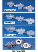 Root Meter CTR - Non-Compensated Counter - Dresser Series B