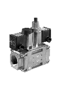 Dual Modular Safety Shutoff Valve: DMV-D(LE) 7xx/604L with NEMA 4x Enclosure, by Dungs