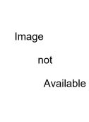 245046 Screw/ M6 x 25
