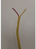  Thermocouple Type K PVC Extension Wire,  KX-20-PP, (per ft.)