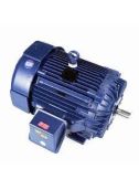 **IN STOCK** 125 HP Marathon Globtrotter Leeson Motor, GT1048A, 444TS Frame, 3600 RPM, 380/460 V, #1006