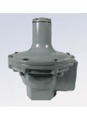 P289 Regulator 2"